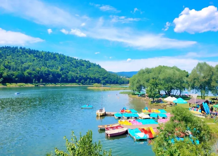 Apartment Goscinne U Brody Miedzybrodzie Zywieckie